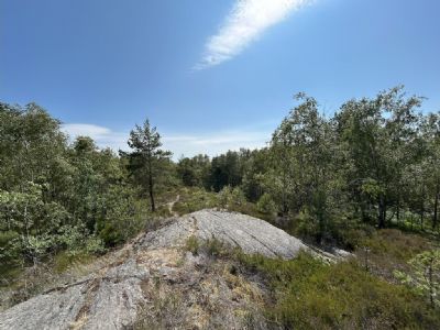 Bild från terrängen vid etapp 4 och 5.