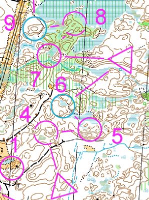 Exempel på hur övningen kan se ut. Vid de blå kontrollerna samlas man efter att ha tagit de rosa kontrollerna i olika ordning.