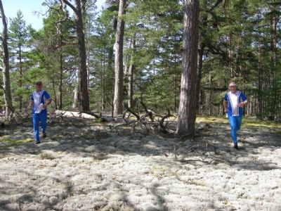 Ölandslägret har blivit en härlig tradition i Torsås OK. Här är det Tommy och Tony som springer sida vid sida i den underbara terrängen på Ängjärnsudden.