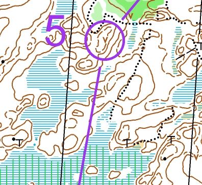 Öppen tallskog nästan hela vägen väntar löparna på Veckans bana v 6.