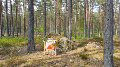 Välkomna ut i den otroligt öppna Söderåkraterrängen!