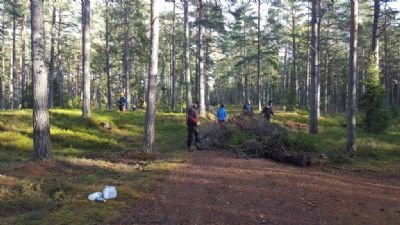 Många Torsås OK:are var med och röjde upp vid den blivande skogsarenan.