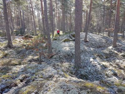 Träningsdag i Grönlid för zonen i slutet av mars 2020. Maria springer i den kanonfina terrängen.