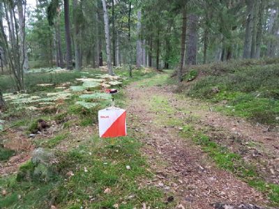 Kontroll under U 5-Dagars i Sunelyckeskogen 2021.