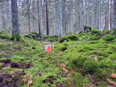 14 januari 2023 sattes denna kontroll ut i Degerhyltanterrängen inför vår nationella tävling i maj.