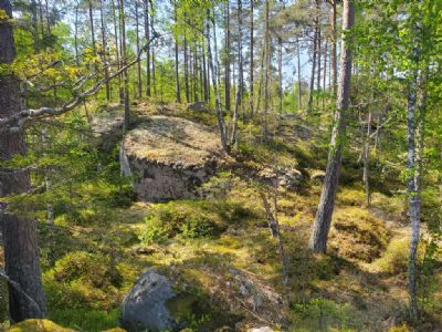 Terrängbild från södra delen av Gullabokartan i samband med Allan Höglind Cup 2 i maj 2023.