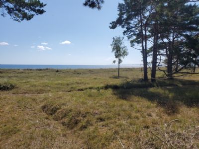 	Härlig vy mot havet på Ängjärnsuddenkartan på Öland.