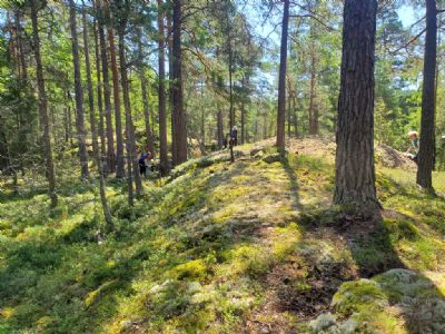 Terrängbild från etapp 2 vid Rosenfors. Riktigt fint! Etappen lovordades också av många deltagare.