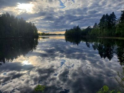 En tisdagskväll med orientering kan bjuda på fantastiska upplevelser. En av de stora fördelarna med vår sport.